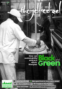 SPRING 2006 ISSUE 13 How can sustainability embrace