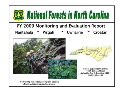 Old growth forests / Uwharrie National Forest / Pisgah National Forest / Croatan National Forest / Nantahala National Forest / Pisgah / Geography of North Carolina / North Carolina / Mountains-to-Sea Trail