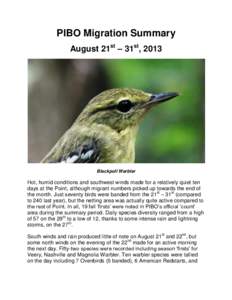 PIBO Migration Summary August 21st – 31st, 2013 Blackpoll Warbler  Hot, humid conditions and southwest winds made for a relatively quiet ten