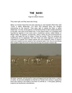 THE RANN by Hugh & Colleen Gantzer They were right; and they were also wrong. When our friends heard that we were planning to visit Gujarat’s Rann they said