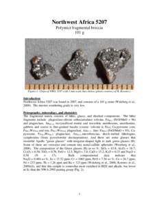 Northwest Africa 5207 Polymict fragmental breccia 101 g Figure 1: Chips of NWA 5207 with 1 mm scale bars below (photo courtesy of R. Korotev).