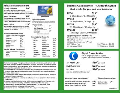 Modem / Cable television / Economy of Brazil / Computing / Net S.A. / Organizações Globo / Free