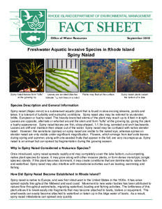 RHODE ISLAND DEPARTMENT OF ENVIRONMENTAL MANAGEMENT  FACT SHEET Office of Water Resources  September 2010