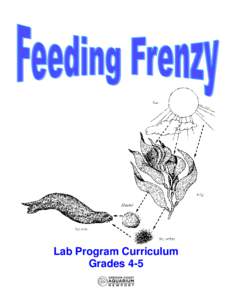 Lab Program Curriculum Grades 4-5 Program Description This 45–60 minute lab program introduces students to food chains and food webs of the Oregon coast. During this program students and their chaperones will travel t