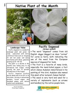 Dogwood, Pacific - Spring