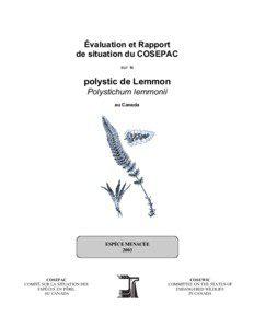 Polystic de Lemmon(Polystichum lemmonii)