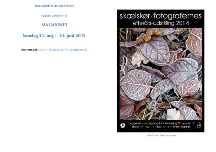 SKÆLSKØR FOTOGRAFERNE  Næste udstilling: MAGASINET Søndag 31. maj – 14. juni 2015