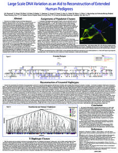 Large Scale DNA Variation as an Aid to Reconstruction of Extended Human Pedigrees S.R. Woodward 1,3, N. Myres 3, J.B. Ekins 3, J.E. Ekins ,3 K. Hadley ,3 L. Hutchison 2, L. Layton 3, U. Perego 3, A. Sims ,3 A. Nelson ,3 