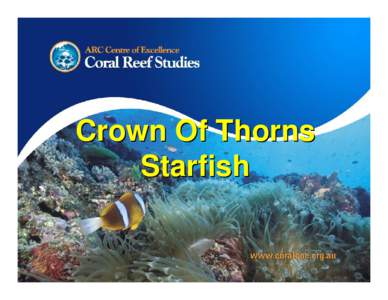 Coral reefs / Asteroidea / Crown-of-thorns starfish / Fauna of Western Australia / Water / Starfish / Coral / Reef / Scleractinia / Taxonomy / Physical geography / Islands