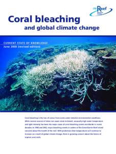 Coral bleaching and global climate change C U R R E N T S TAT E O F K N O W L E D G E June[removed]revised edition)  Coral bleaching is the loss of colour from corals under stressful environmental conditions.