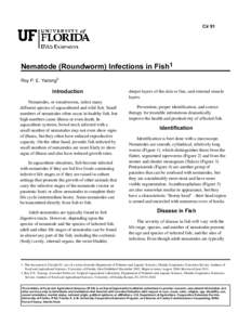 Cir 91  Nematode (Roundworm) Infections in Fish1 Roy P. E. Yanong2  Introduction