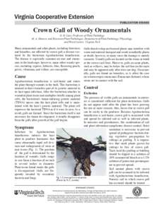 publication[removed]Crown Gall of Woody Ornamentals G. H. Lacy, Professor of Plant Pathology M. A. Hansen, and Extension Plant Pathologist, Department of Plant Pathology, Physiology,