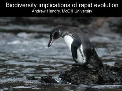 Biodiversity implications of rapid evolution Andrew Hendry, McGill University Ever since Darwin