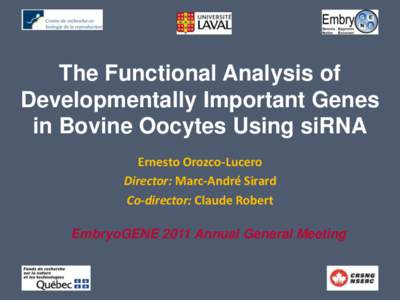 The Functional Analysis of Developmentally Important Genes in Bovine Oocytes Using siRNA