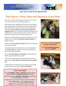 August 2014 #2, E-News for Our Special Friends  Tiny Dancerfrom Alone and Abused to Great Mom Every once in a while, a special animal in need comes into our lives. Such is the case for Dancer, a beautiful pregnant cat