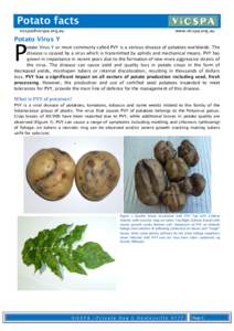Potato facts [removed] www.vicspa.org.au  Potato Virus Y
