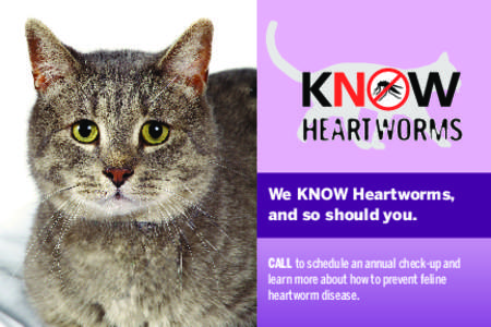 We KNOW Heartworms, and so should you. CALL to schedule an annual check-up and learn more about how to prevent feline heartworm disease.