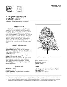 Fact Sheet ST-16 November 1993 Acer grandidentatum Bigtooth Maple1 Edward F. Gilman and Dennis G. Watson2