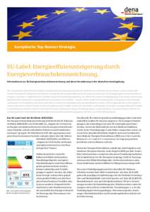 Europäische Top-Runner-Strategie.  EU-Label: Energieeffizienzsteigerung durch Energieverbrauchskennzeichnung. Informationen zur EU-Energieverbrauchskennzeichnung und deren Verankerung in der deutschen Gesetzgebung.