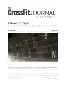 THE  JOURNAL V IR T UO S IT Y  Virtuosity 11: Dig In