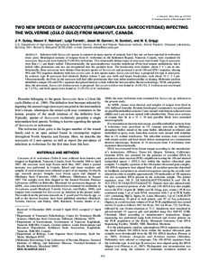 J. Parasitol., 96(5), 2010, pp. 972–976 F American Society of Parasitologists 2010 TWO NEW SPECIES OF SARCOCYSTIS (APICOMPLEXA: SARCOCYSTIDAE) INFECTING THE WOLVERINE (GULO GULO) FROM NUNAVUT, CANADA J. P. Dubey, Mason