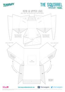 THE SQUIRREL PAPERCRAFT MODEL HEAD & UPPER LEGS  Make up each piece separately before assembling together