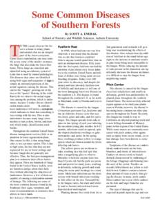 Some Common Diseases of Southern Forests By SCOTT A. ENEBAK School of Forestry and Wildlife Sciences, Auburn University O THE casual observer the forest is a home to many plants and animals that are an integral