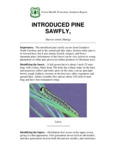 Forest Health Protection, Southern Region  INTRODUCED PINE SAWFLY, Diprion similis (Hartig) Importance. -The introduced pine sawfly occurs from Canada to