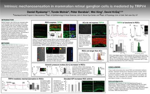 Intrinsic mechanosensation in mammalian retinal ganglion cells is mediated by TRPV4 .. 1,2  2