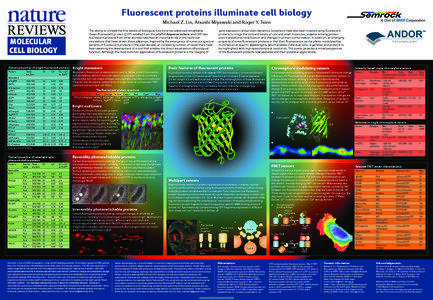 Fluorescent dyes / Protein methods / Bioluminescence / Fluorescence / Molecular biology / Green fluorescent protein / Yellow fluorescent protein / Förster resonance energy transfer / Kaede / Biology / Chemistry / Biochemistry