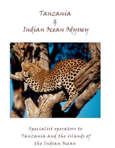 Tanzania & Indian Ocean Odyssey Specialist operators to Tanzania and the islands of