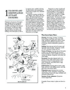 1  DIAGNOSIS AND IDENTIFICATION OF PLANT DISORDERS