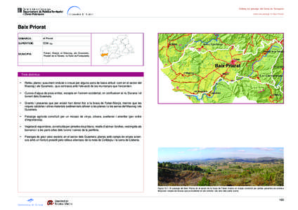 Catàleg de paisatge del Camp de Tarragona Unitat de paisatge 12: Baix Priorat