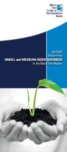 BSTDB: Supporting SMALL and MEDIUM-SIZED BUSINESS in the Black Sea Region  CONTENTS: