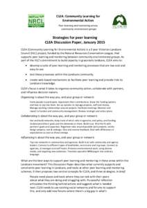 Microsoft Word - CLEA Discussion Paper One