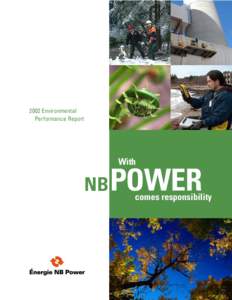 NBP PDF enviro report13.indd