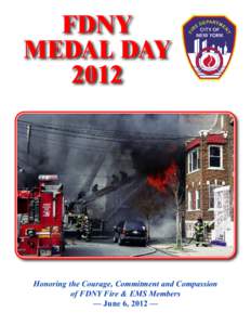 Medal Day Book2012_Layout 1