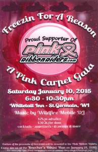 2015 Pink Carpet Gala Poster