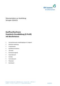 Dokumentation E-Profil mit BM Lehrbeginn