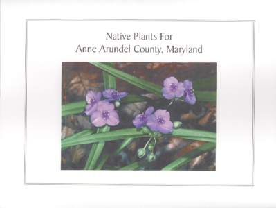Native Plants for Anne Arundel County Light 1  Moisture