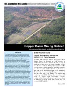 Copper Basin Mining District Site Case Study