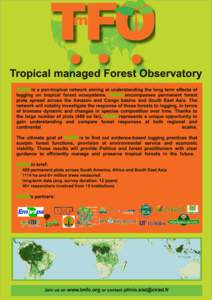 Tropical managed Forest Observatory TmFO is a pan-tropical network aiming at understanding the long term effects of logging on tropical forest ecosystems. TmFO encompasses permanent forest plots spread across the Amazon 