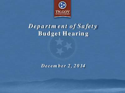 Department of Safety Budget Hearing December 2, 2014  Customer-Focused Government Goals