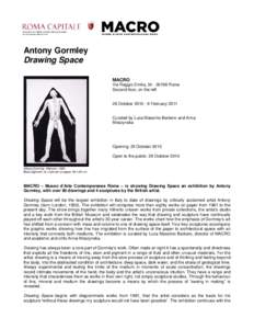 Antony Gormley / British art / Angel of the North / Visual arts / Royal Academicians / Sculpture