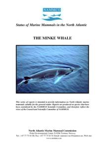 Status of Marine Mammals in the North Atlantic  THE MINKE WHALE This series of reports is intended to provide information on North Atlantic marine mammals suitable for the general reader. Reports are produced on species 
