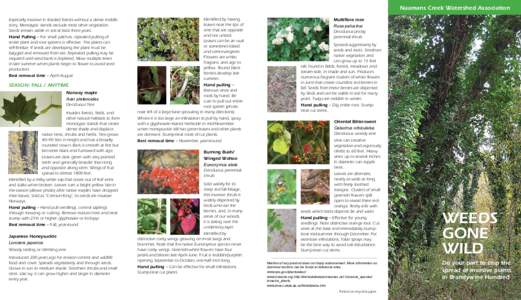 Agriculture / Celastrus orbiculatus / Seed / Plant / Vine / Hedera helix / Herbicide / Weed / White Bryony / Invasive plant species / Botany / Biology