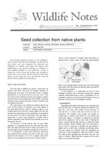 Seed collection from native plants Keywords: seed, selection, picking, seed types, storage, wildflowers.  Location: