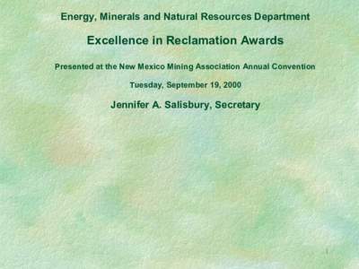 Energy, Minerals and Natural Resources Department   Excellence in Reclamation Awards  Presented at the New Mexico Mining Association Annual Convention  Tuesday, September 19, 2000 