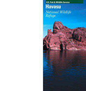 U.S. Fish & Wildlife Service  Havasu