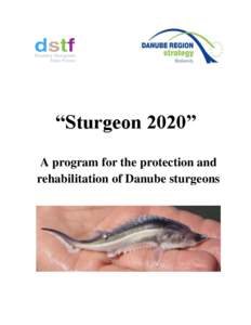 “Sturgeon 2020” A program for the protection and rehabilitation of Danube sturgeons DSTF „Sturgeon 2020“